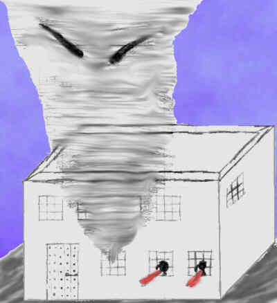 Das Bild von Martin Reich